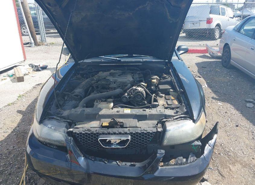 Photo 10 of 2001 Ford Mustang N/A (VIN 1FAFP40451F161190)