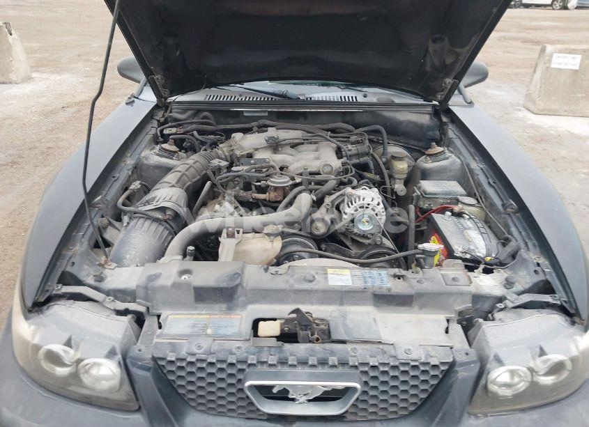 Photo 10 of 2002 Ford Mustang (VIN 1FAFP40452F142303)