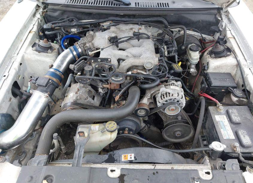 Photo 10 of 2003 Ford Mustang (VIN 1FAFP40453F320566)