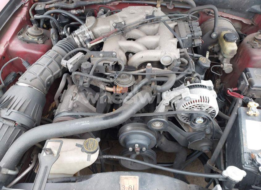 Photo 10 of 2000 Ford Mustang (VIN 1FAFP4045YF124327)