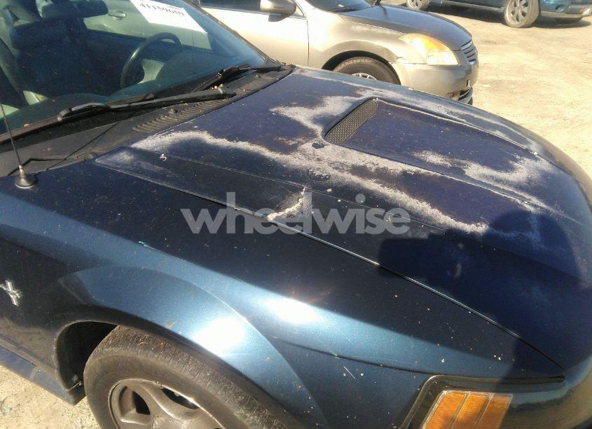 Photo 12 of 2001 Ford Mustang (VIN 1FAFP40461F227004)