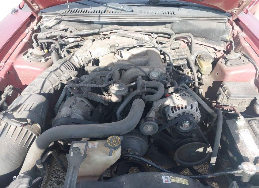 Photo 10 of 2002 Ford Mustang (VIN 1FAFP40472F199960)