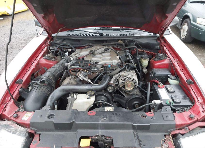 Photo 10 of 2000 Ford Mustang (VIN 1FAFP4047YF253458)