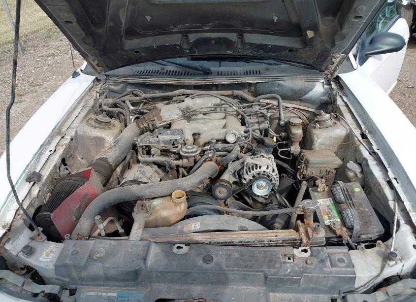 Photo 10 of 2001 Ford Mustang N/A (VIN 1FAFP40481F157375)