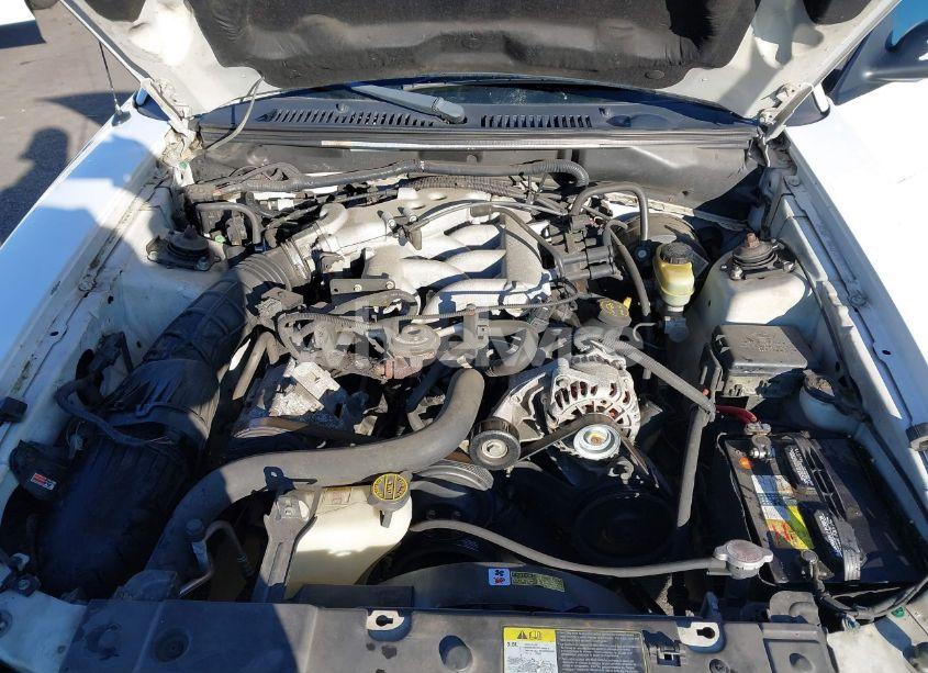 Photo 10 of 2002 Ford Mustang (VIN 1FAFP40482F211971)