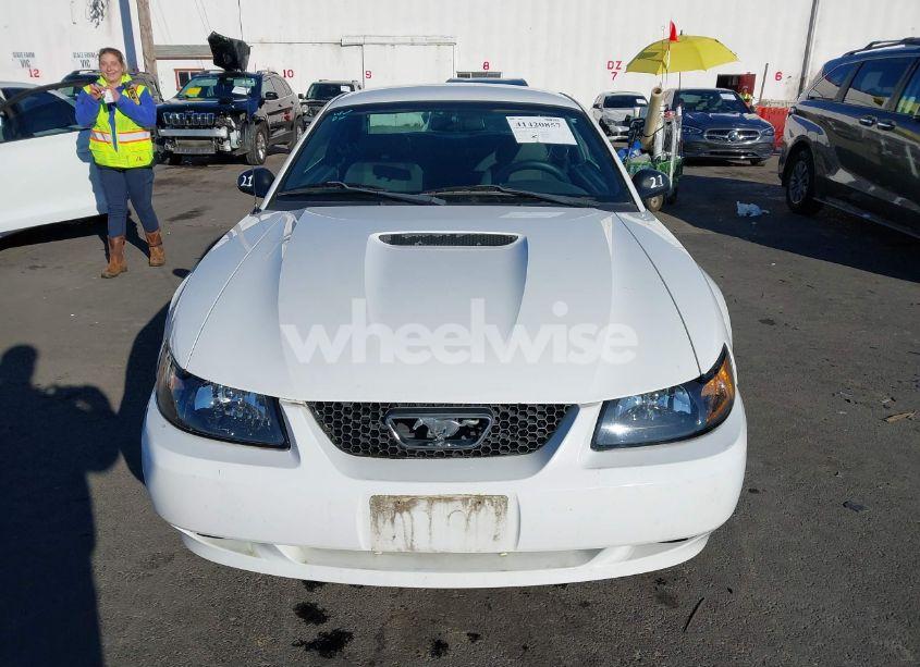 Photo 12 of 2002 Ford Mustang (VIN 1FAFP40482F211971)