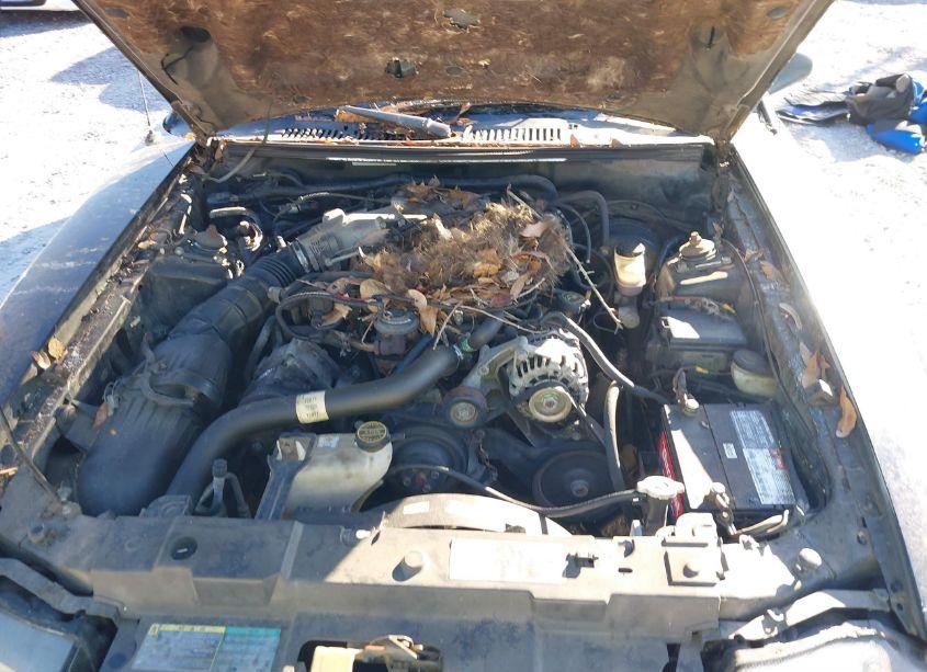 Photo 10 of 2003 Ford Mustang (VIN 1FAFP40483F322571)