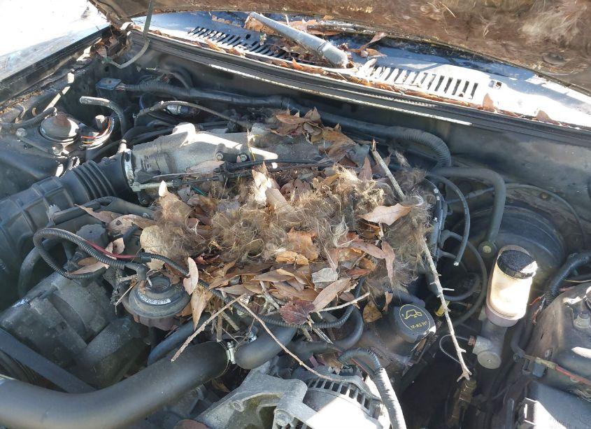 Photo 6 of 2003 Ford Mustang (VIN 1FAFP40483F322571)