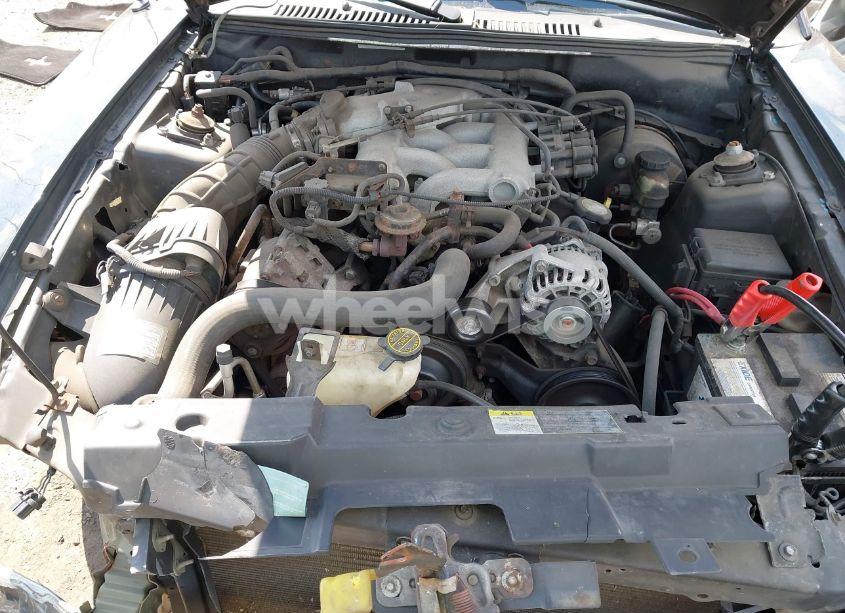 Photo 10 of 2003 Ford Mustang (VIN 1FAFP40483F330489)