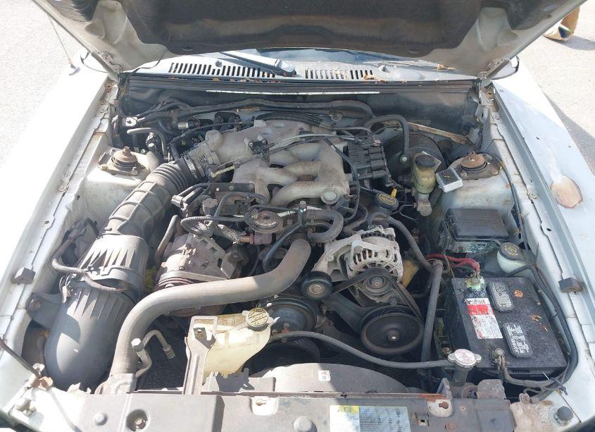 Photo 10 of 2003 Ford Mustang (VIN 1FAFP40483F381572)