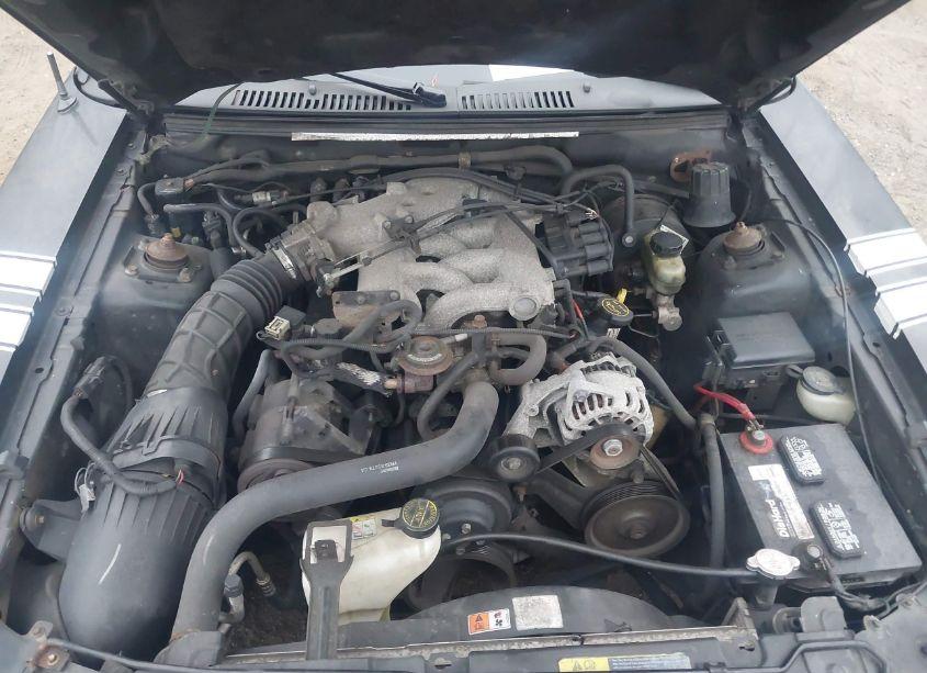 Photo 10 of 2001 Ford Mustang N/A (VIN 1FAFP40491F108928)