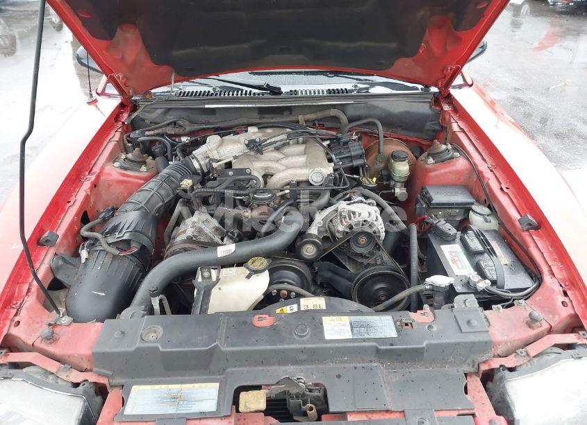 Photo 10 of 2001 Ford Mustang (VIN 1FAFP40491F164299)