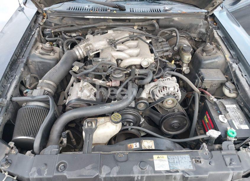 Photo 10 of 2001 Ford Mustang (VIN 1FAFP40491F183449)