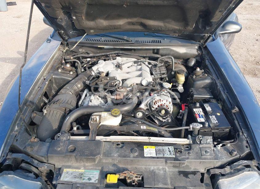 Photo 10 of 2003 Ford Mustang (VIN 1FAFP40493F303513)