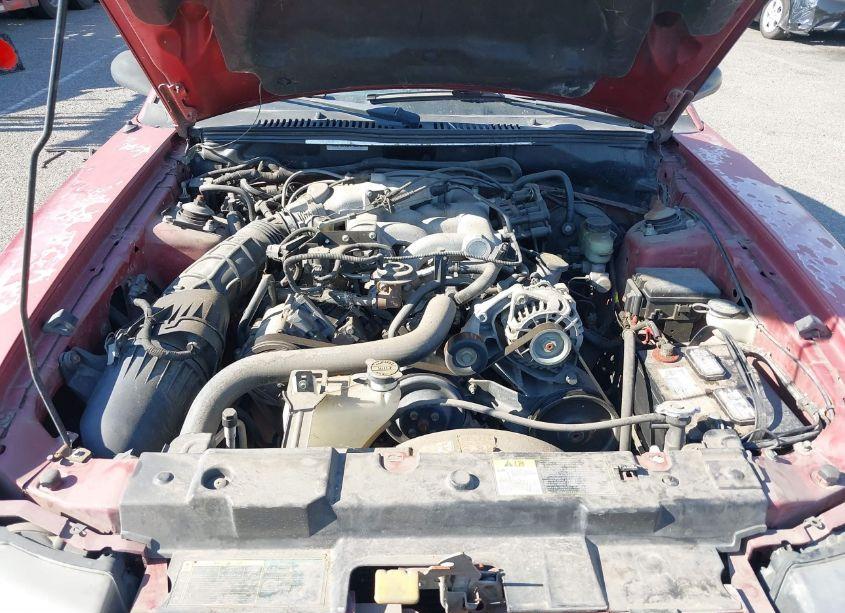 Photo 10 of 2004 Ford Mustang (VIN 1FAFP40494F115379)