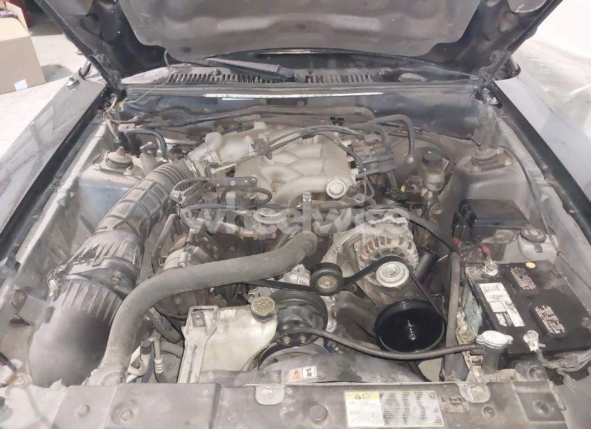 Photo 10 of 2004 Ford Mustang (VIN 1FAFP40494F126818)