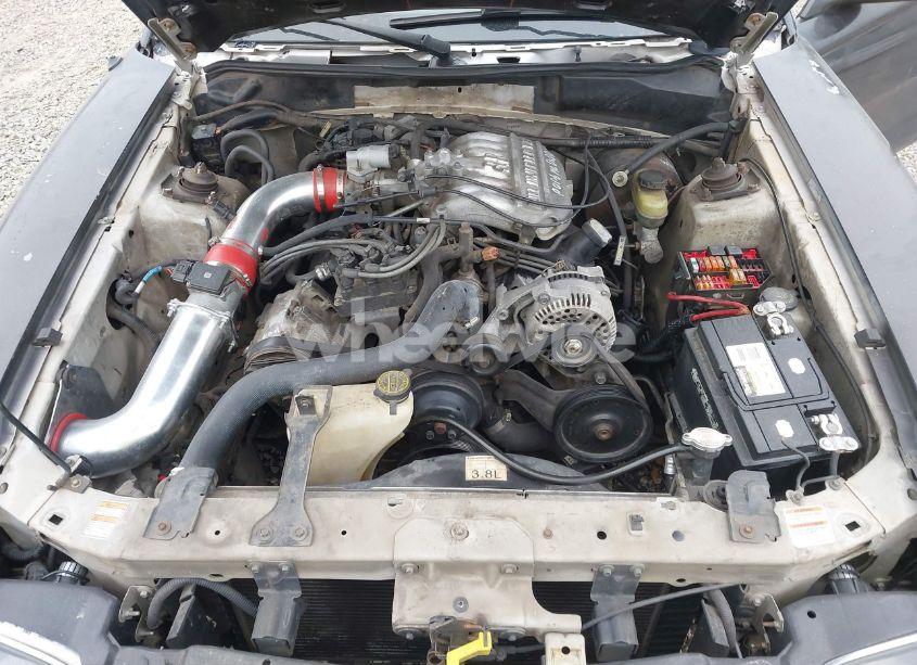 Photo 10 of 1998 Ford Mustang (VIN 1FAFP4049WF105101)