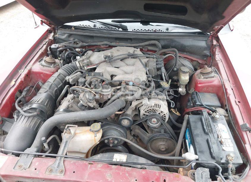 Photo 10 of 2000 Ford Mustang (VIN 1FAFP4049YF174888)