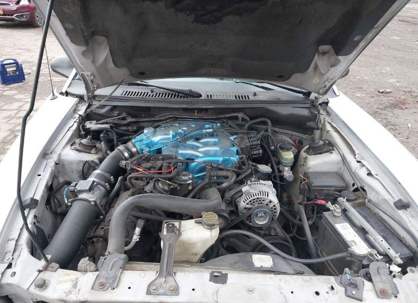 Photo 10 of 2000 Ford Mustang (VIN 1FAFP4049YF203631)