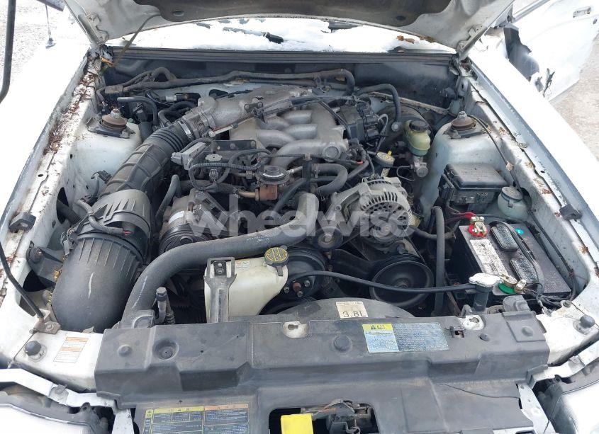 Photo 10 of 2000 Ford Mustang (VIN 1FAFP4049YF296568)