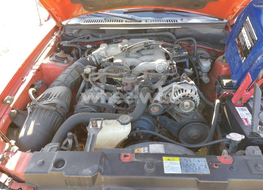 Photo 10 of 2001 Ford Mustang (VIN 1FAFP404X1F184545)