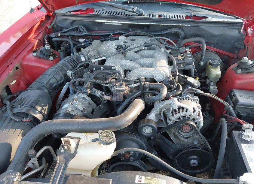 Photo 10 of 2003 Ford Mustang (VIN 1FAFP404X3F363705)