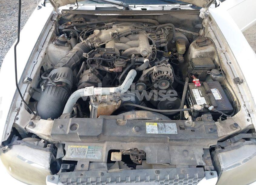 Photo 10 of 2003 Ford Mustang (VIN 1FAFP404X3F374199)