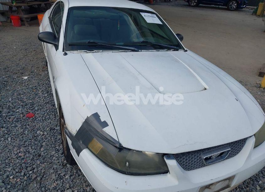 Photo 6 of 2003 Ford Mustang (VIN 1FAFP404X3F374199)