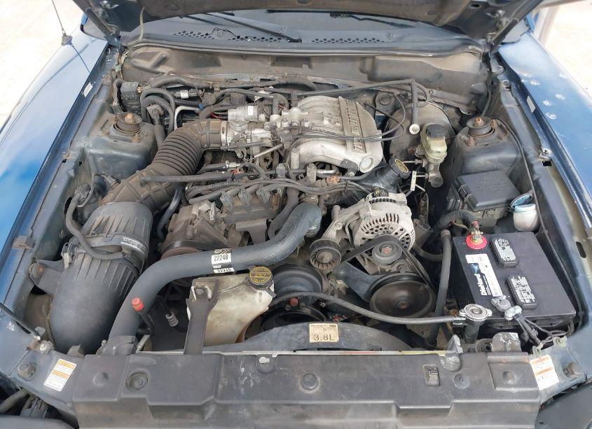 Photo 10 of 1998 Ford Mustang (VIN 1FAFP404XWF213047)