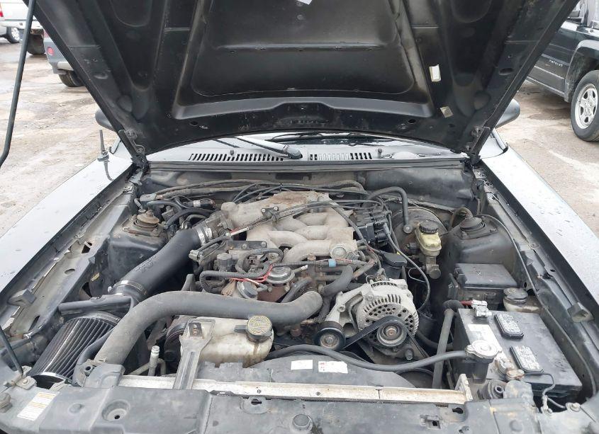 Photo 10 of 1999 Ford Mustang (VIN 1FAFP404XXF154115)