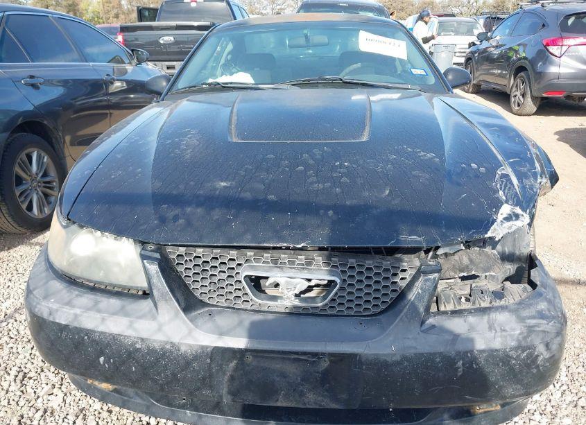 Photo 13 of 2004 Ford Mustang (VIN 1FAFP40614F161094)