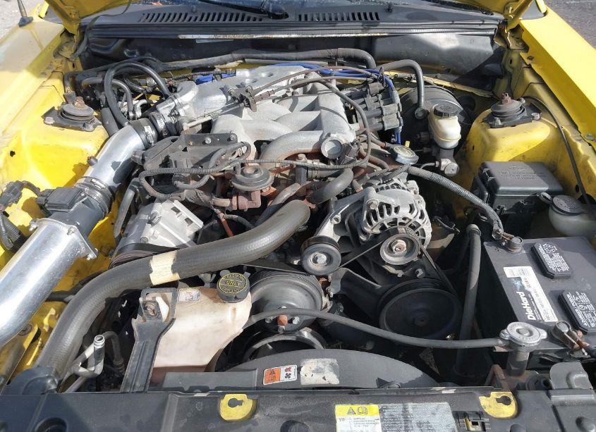 Photo 10 of 2004 Ford Mustang (VIN 1FAFP40614F196900)