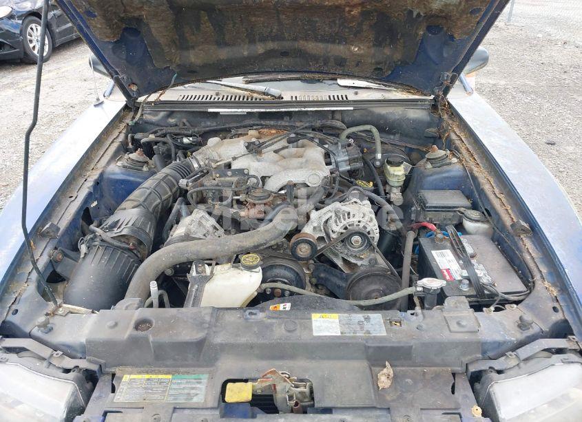 Photo 10 of 2004 Ford Mustang (VIN 1FAFP40614F239549)