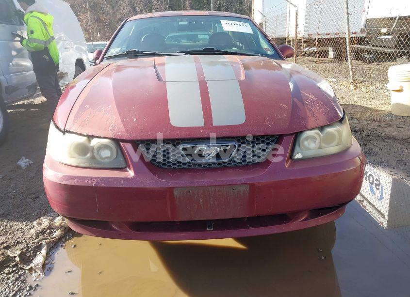 Photo 13 of 2004 Ford Mustang (VIN 1FAFP40624F137743)