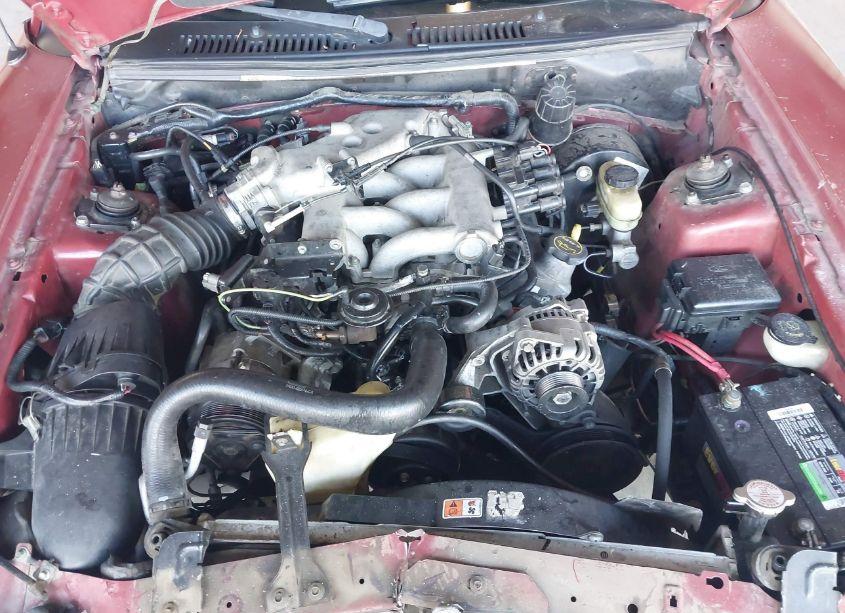 Photo 10 of 2004 Ford Mustang (VIN 1FAFP40654F204495)