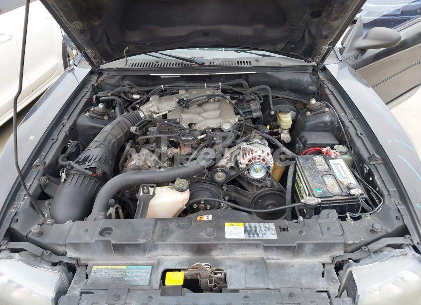 Photo 10 of 2004 Ford Mustang (VIN 1FAFP40684F138315)