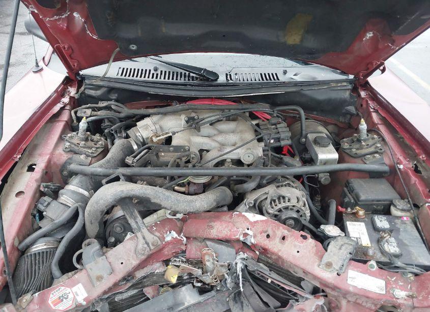 Photo 10 of 2004 Ford Mustang (VIN 1FAFP40684F153462)