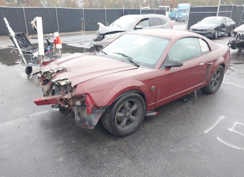 Photo 2 of 2004 Ford Mustang (VIN 1FAFP40684F153462)