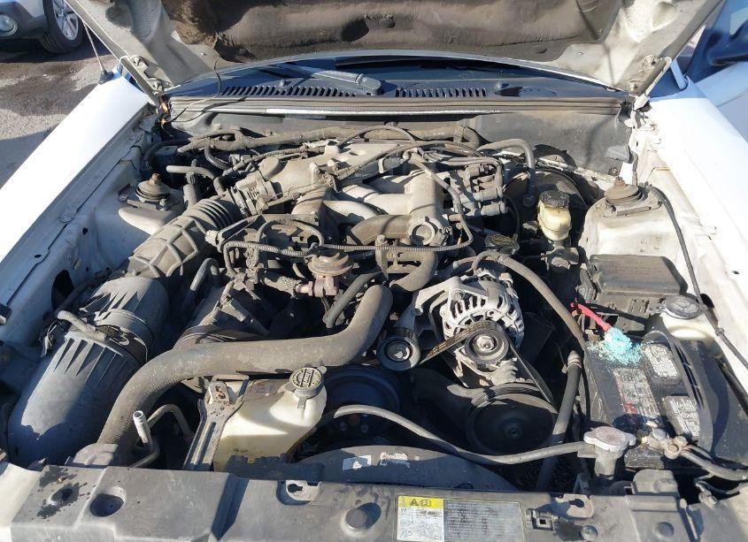 Photo 10 of 2004 Ford Mustang (VIN 1FAFP40684F205141)