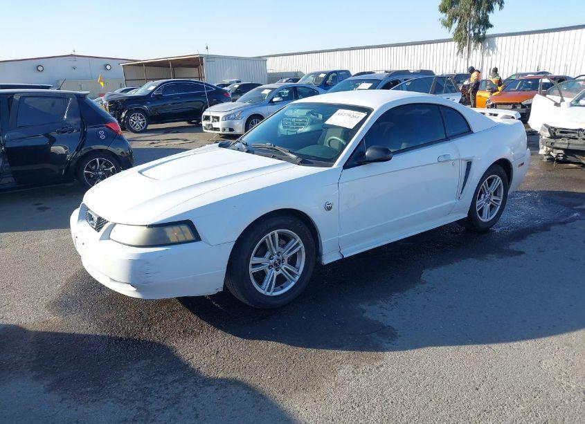 Photo 2 of 2004 Ford Mustang (VIN 1FAFP40684F205141)
