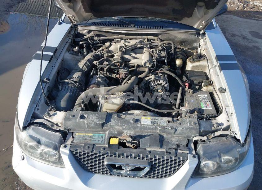 Photo 10 of 2004 Ford Mustang (VIN 1FAFP40694F241808)