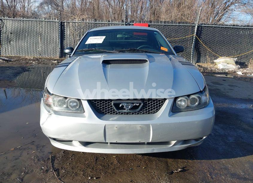 Photo 12 of 2004 Ford Mustang (VIN 1FAFP40694F241808)