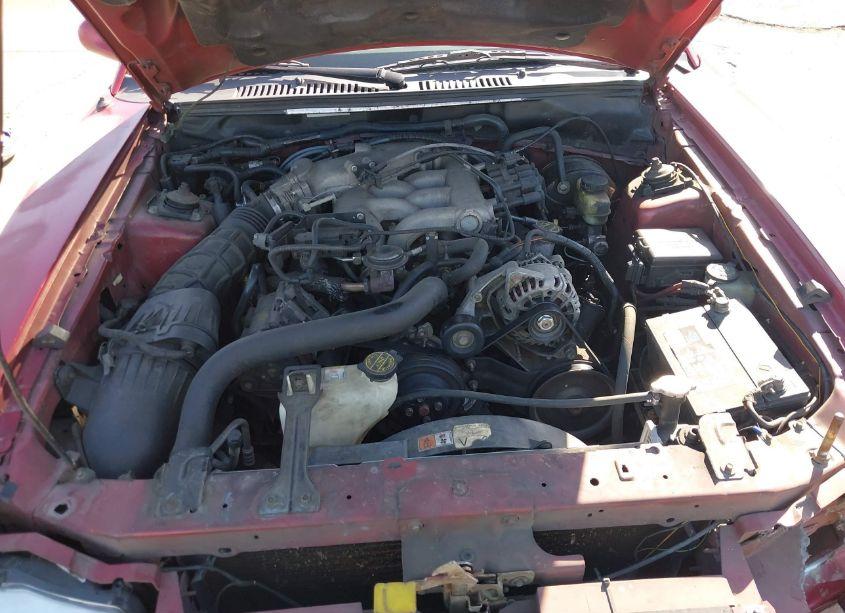 Photo 10 of 2004 Ford Mustang PREMIUM (VIN 1FAFP406X4F150868)