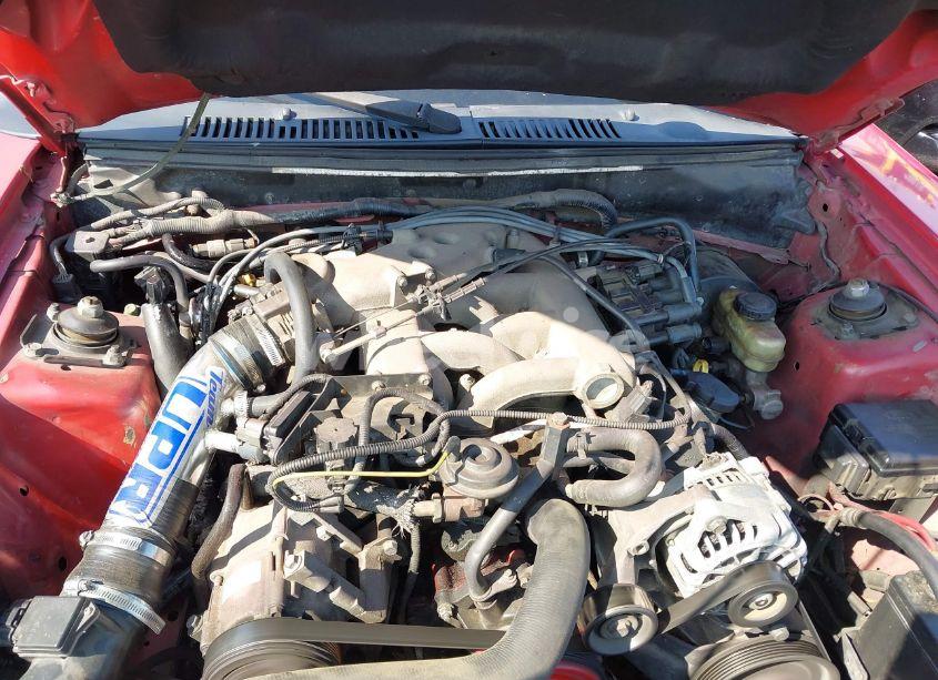 Photo 10 of 2004 Ford Mustang (VIN 1FAFP406X4F174247)