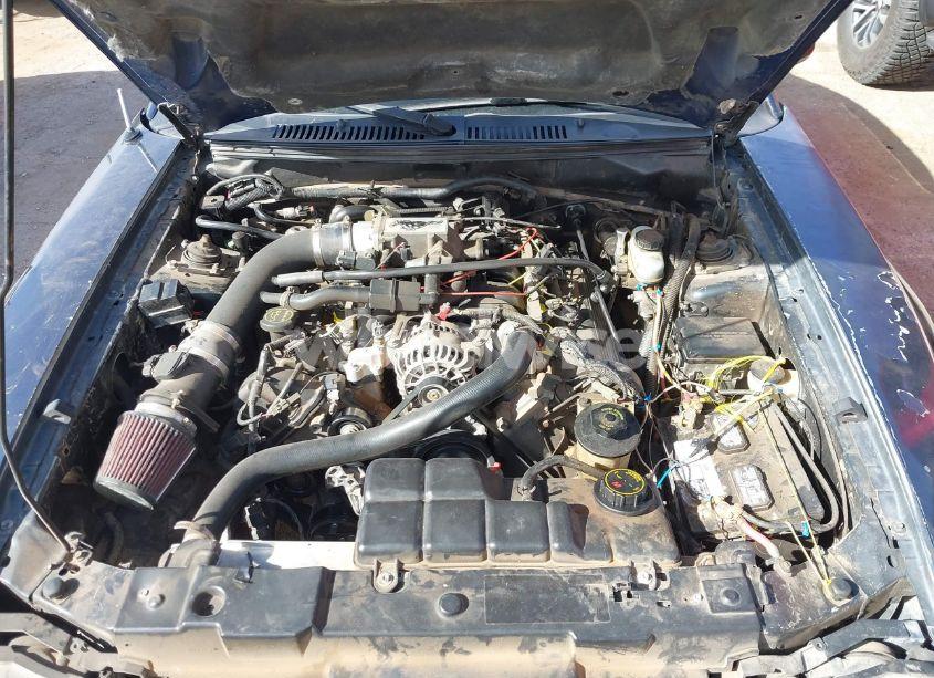 Photo 10 of 2001 Ford Mustang GT (VIN 1FAFP42X01F104029)