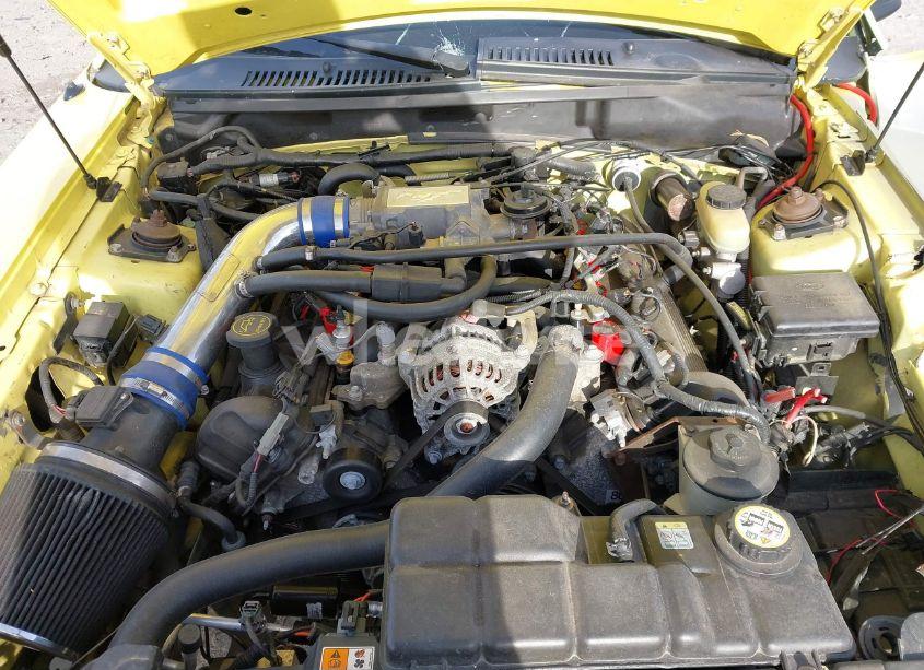 Photo 10 of 2001 Ford Mustang GT (VIN 1FAFP42X01F154641)