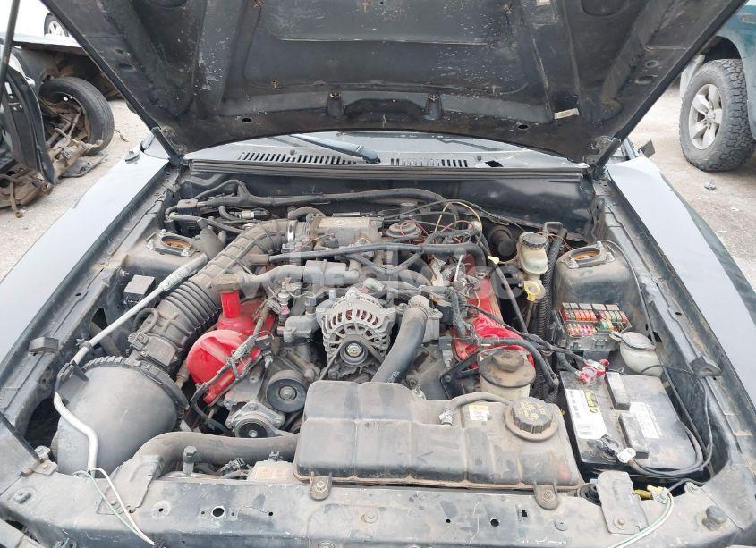 Photo 10 of 2002 Ford Mustang GT (VIN 1FAFP42X02F208862)