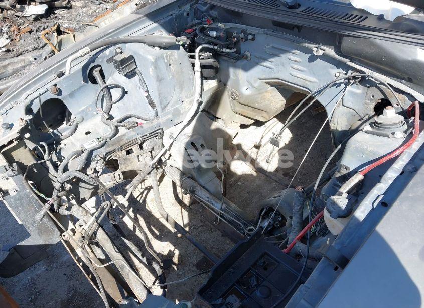 Photo 6 of 2002 Ford Mustang GT (VIN 1FAFP42X12F172826)