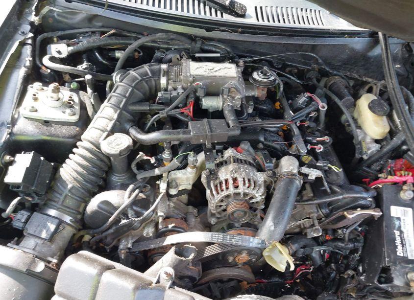 Photo 10 of 2000 Ford Mustang GT (VIN 1FAFP42X1YF143495)