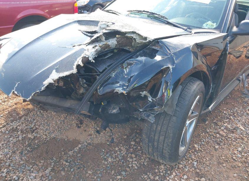 Photo 6 of 2000 Ford Mustang GT (VIN 1FAFP42X1YF143495)